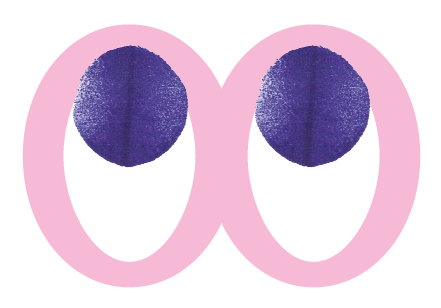 image animée de deux yeux qui observent